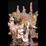 In the Palms of the Castle detail 9x6 in.jpg